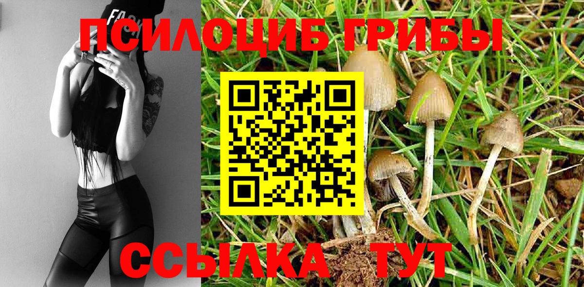 Галлюциногенные грибы Cubensis Губкинский