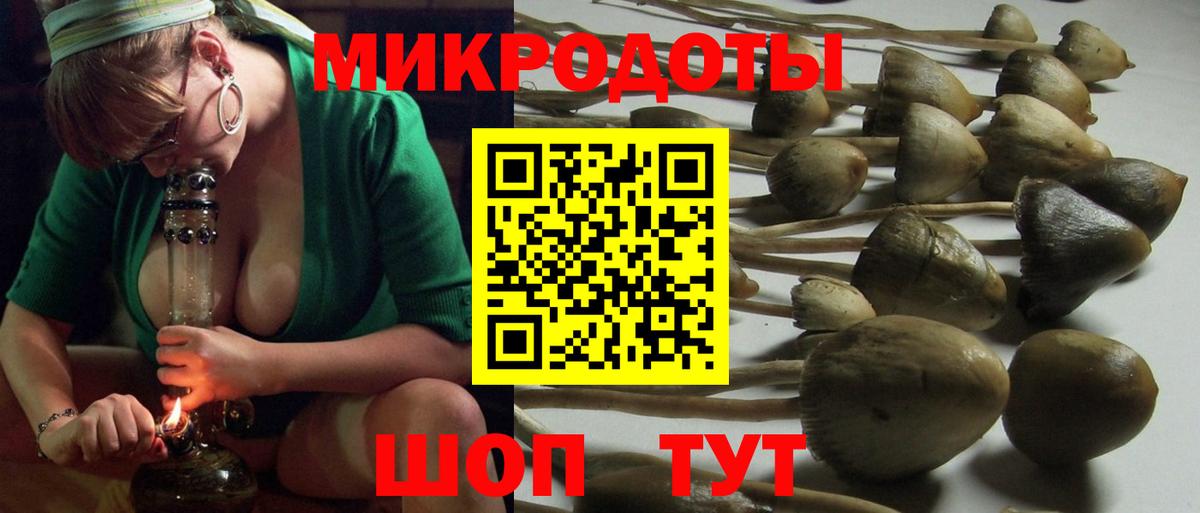 Псилоцибиновые грибы прущие грибы  Вход с VPN  купить   Галлюциногенные грибы ЛСД  Губкинский 